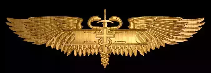 Combat Medic Award