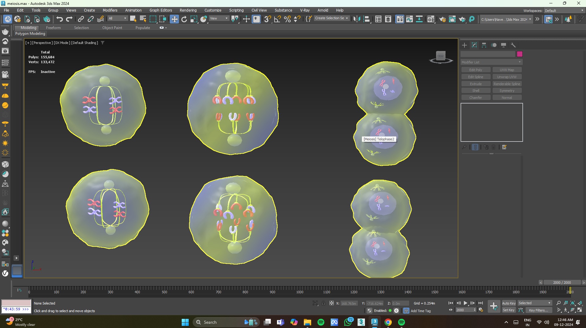 Meiosis 3D Model Animated Low-poly 3D model_10