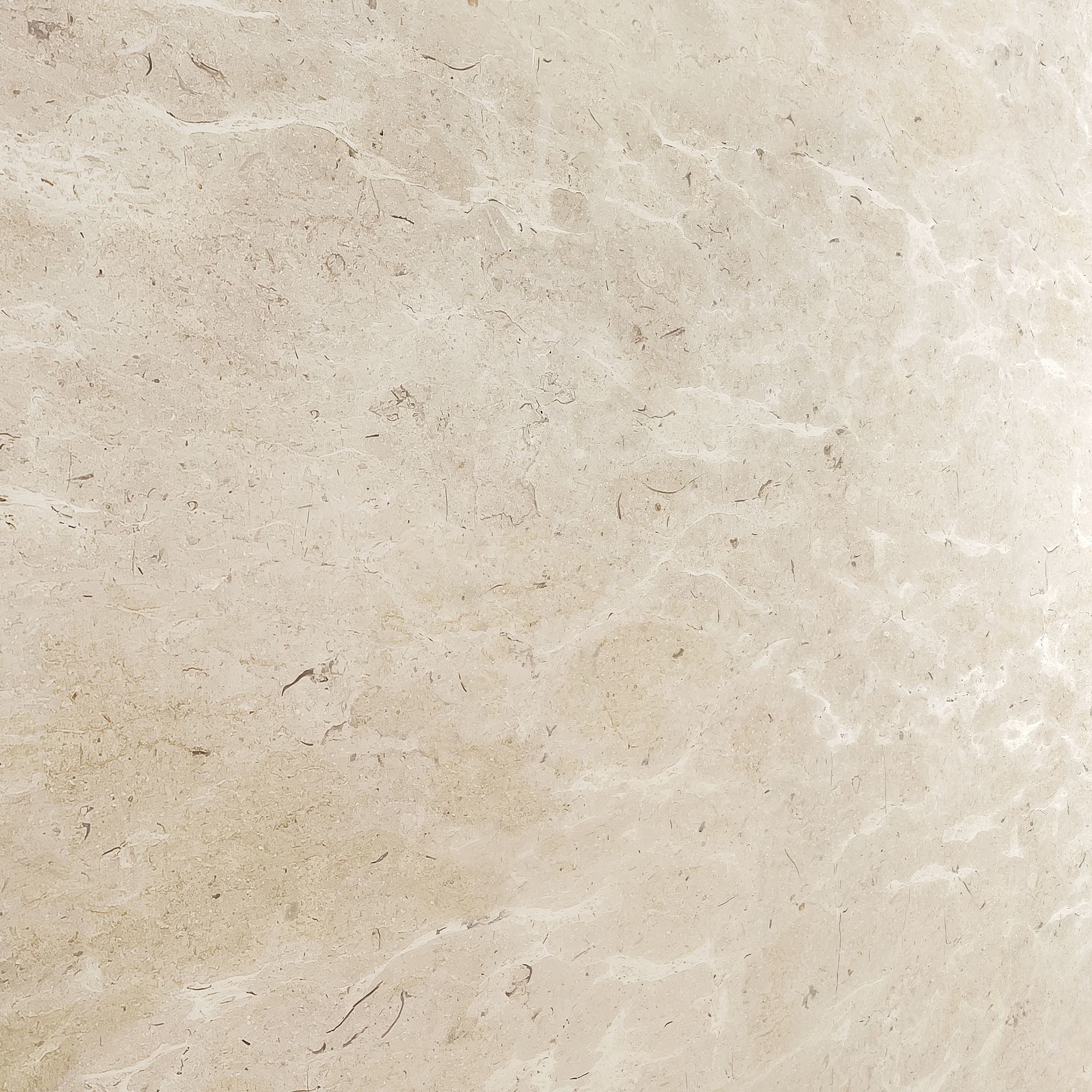 Brushed Limestone 05 Texture_6