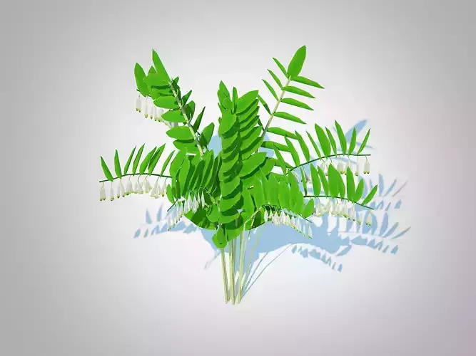 Polygonatum-Solomon Seal Low-poly 3D model
