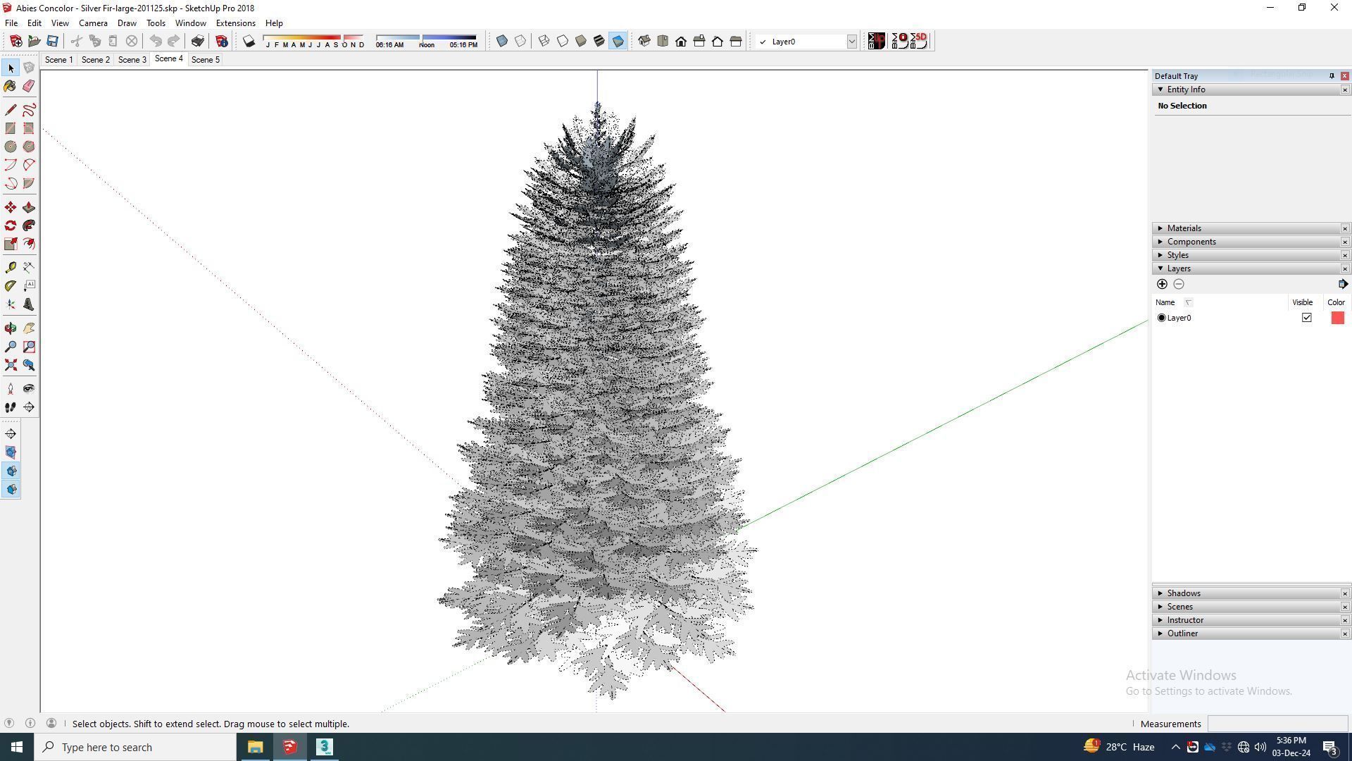 Plant   Abies Concolor - Silver Fir - Large 3D model_8