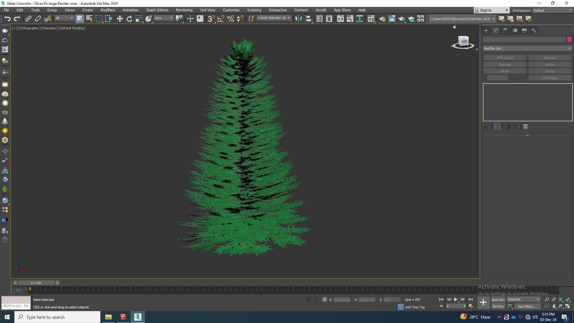 Plant   Abies Concolor - Silver Fir - Large 3D model_6