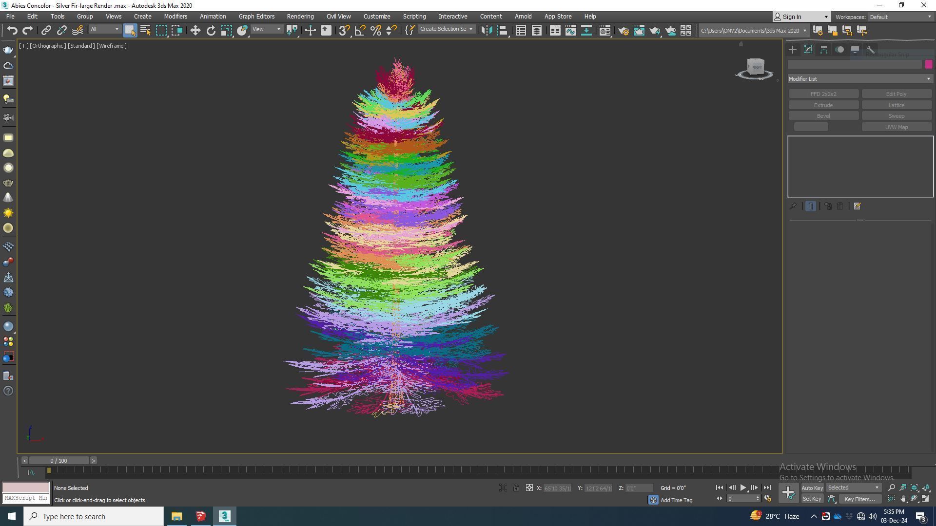 Plant   Abies Concolor - Silver Fir - Large 3D model_7