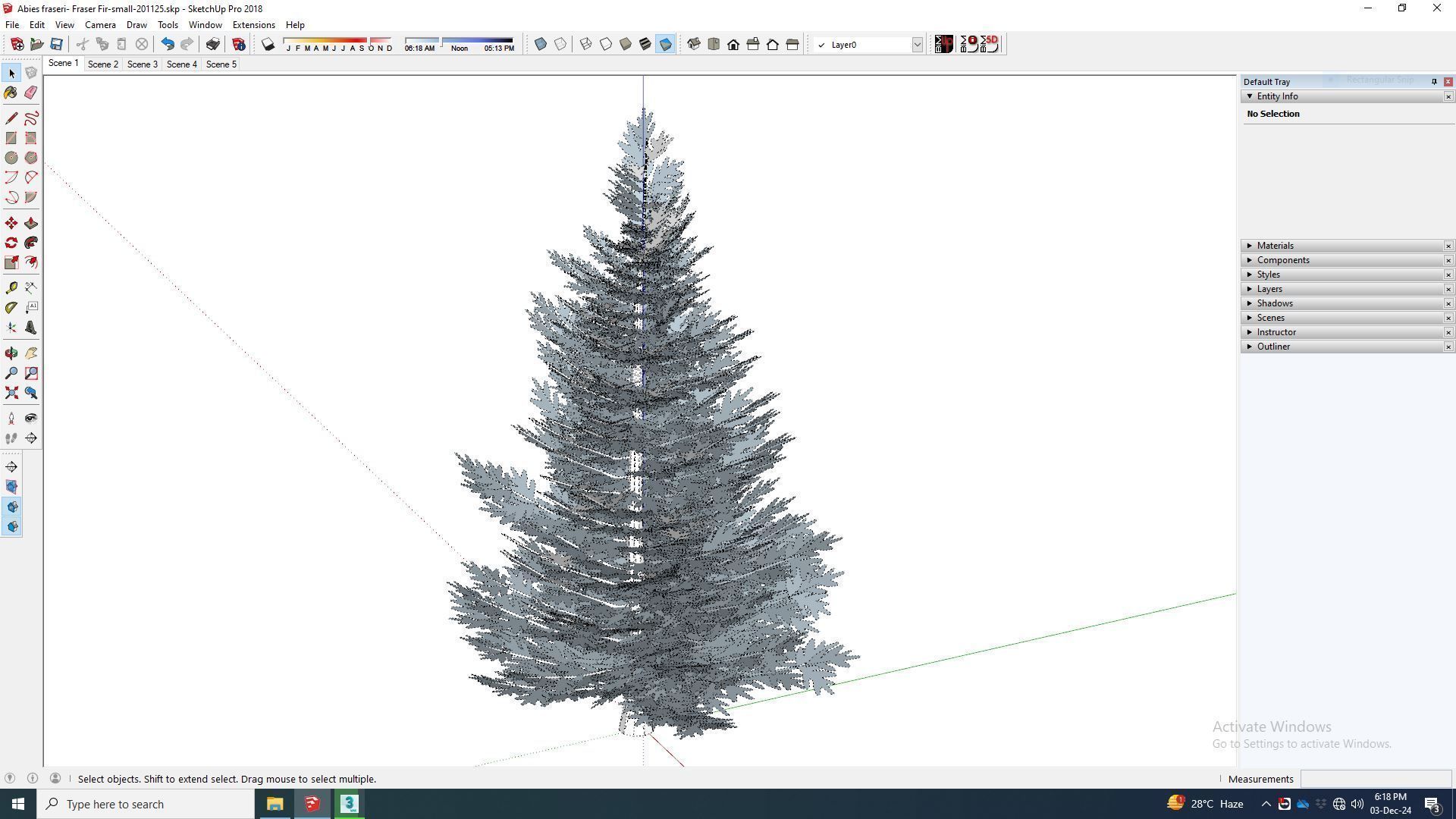 Plant Abies fraseri- Fraser Fir -Small 3D model_8