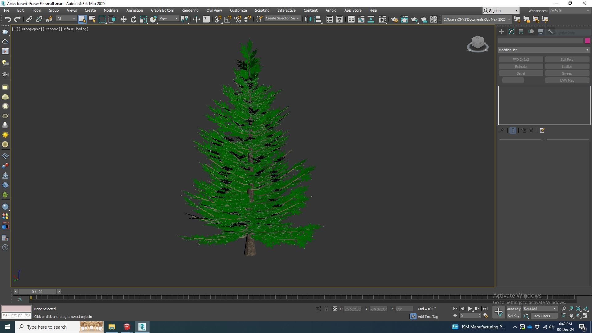 Plant Abies fraseri- Fraser Fir -Small 3D model_6