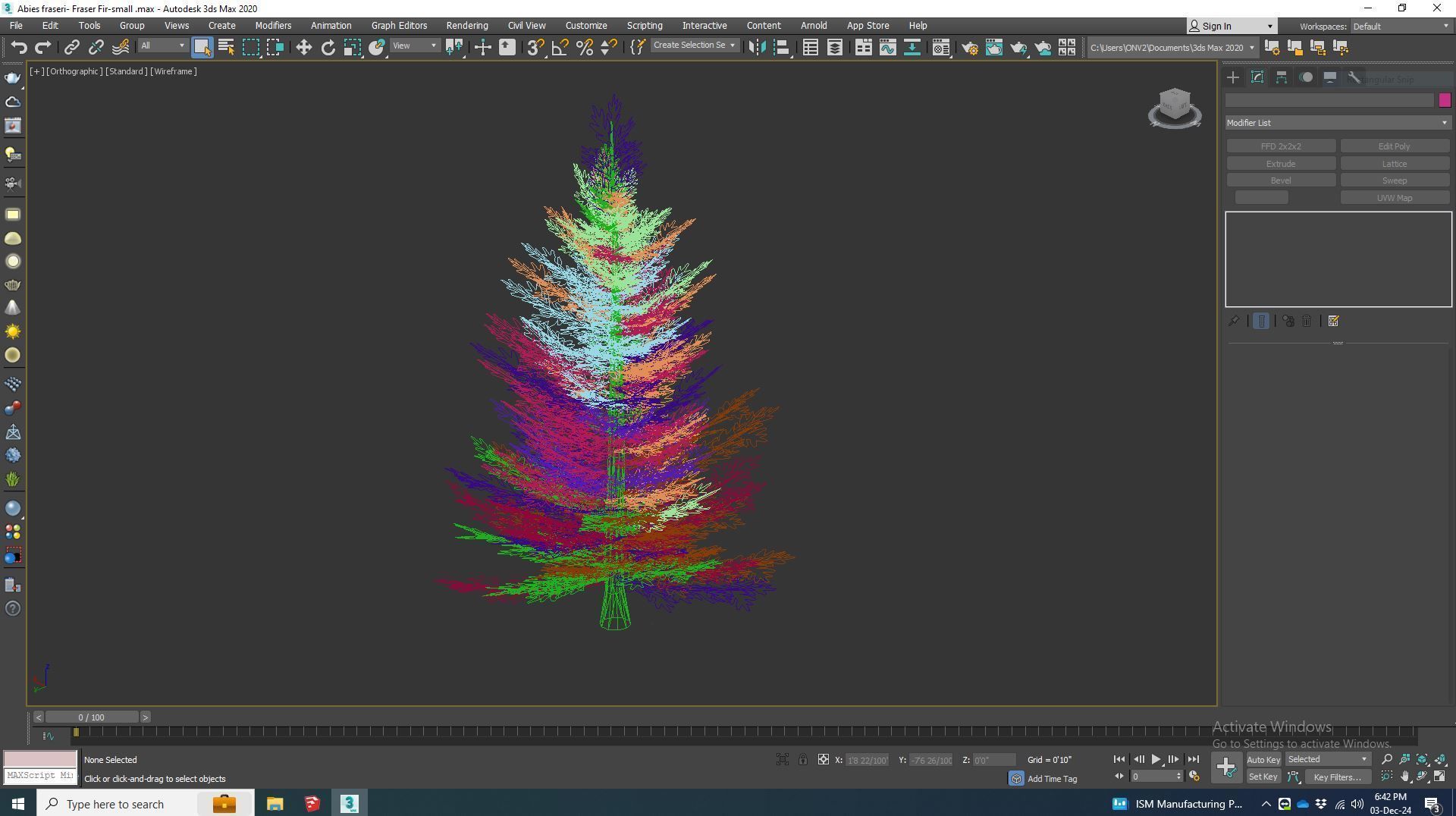 Plant Abies fraseri- Fraser Fir -Small 3D model_7