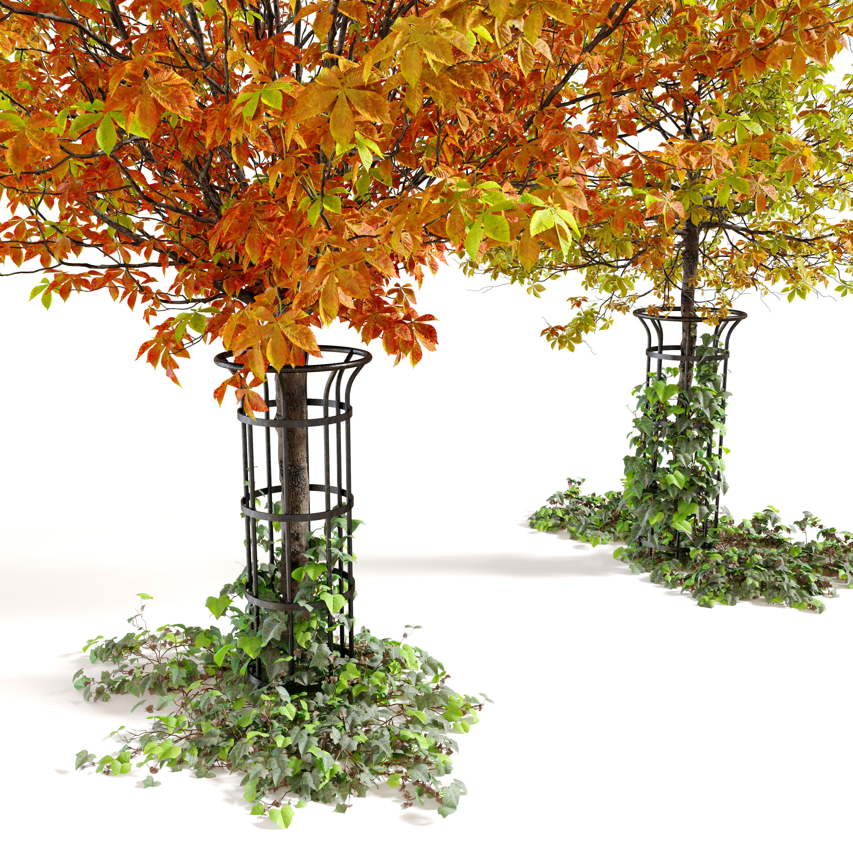 Autumn chestnut 3D model_2