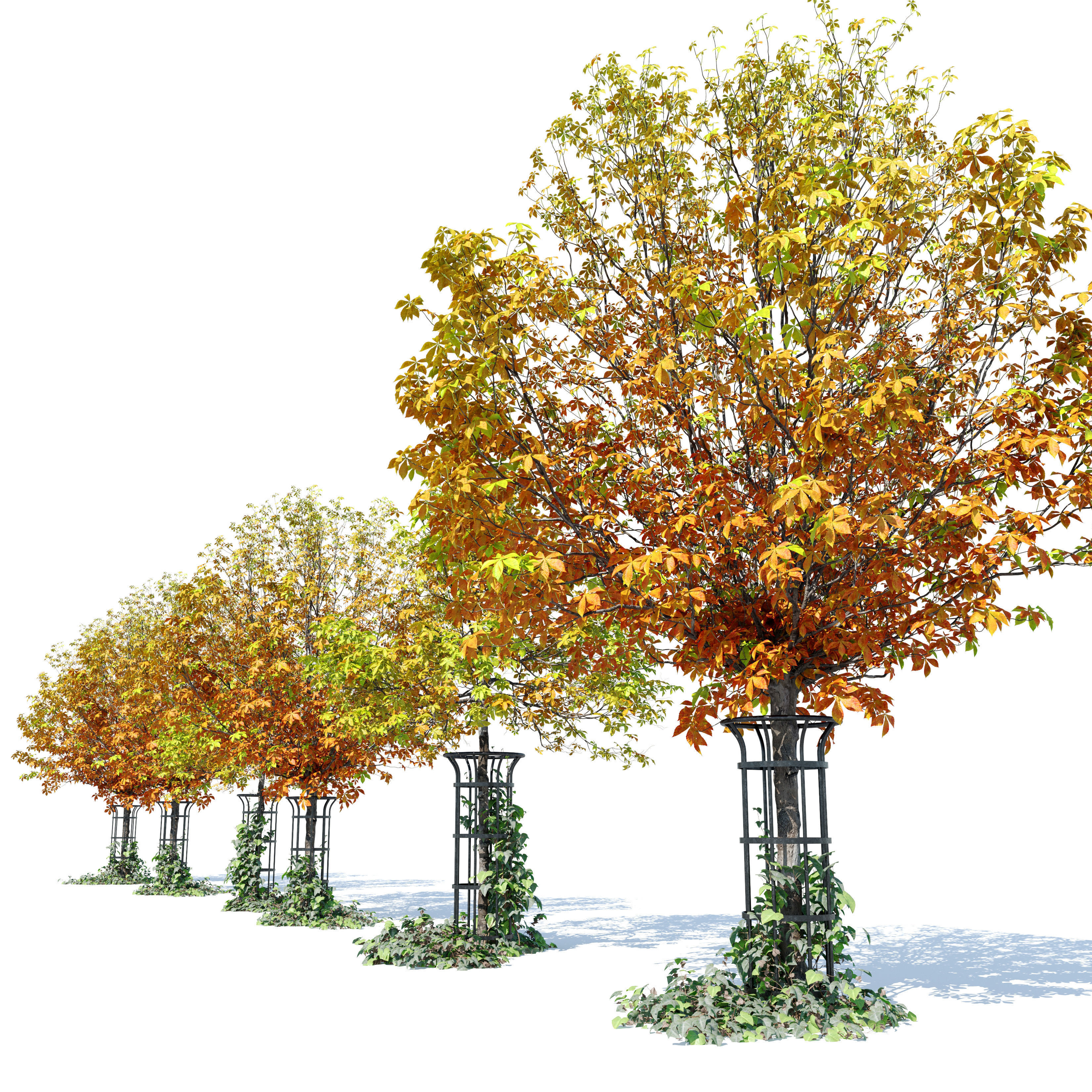 Autumn chestnut 3D model_3