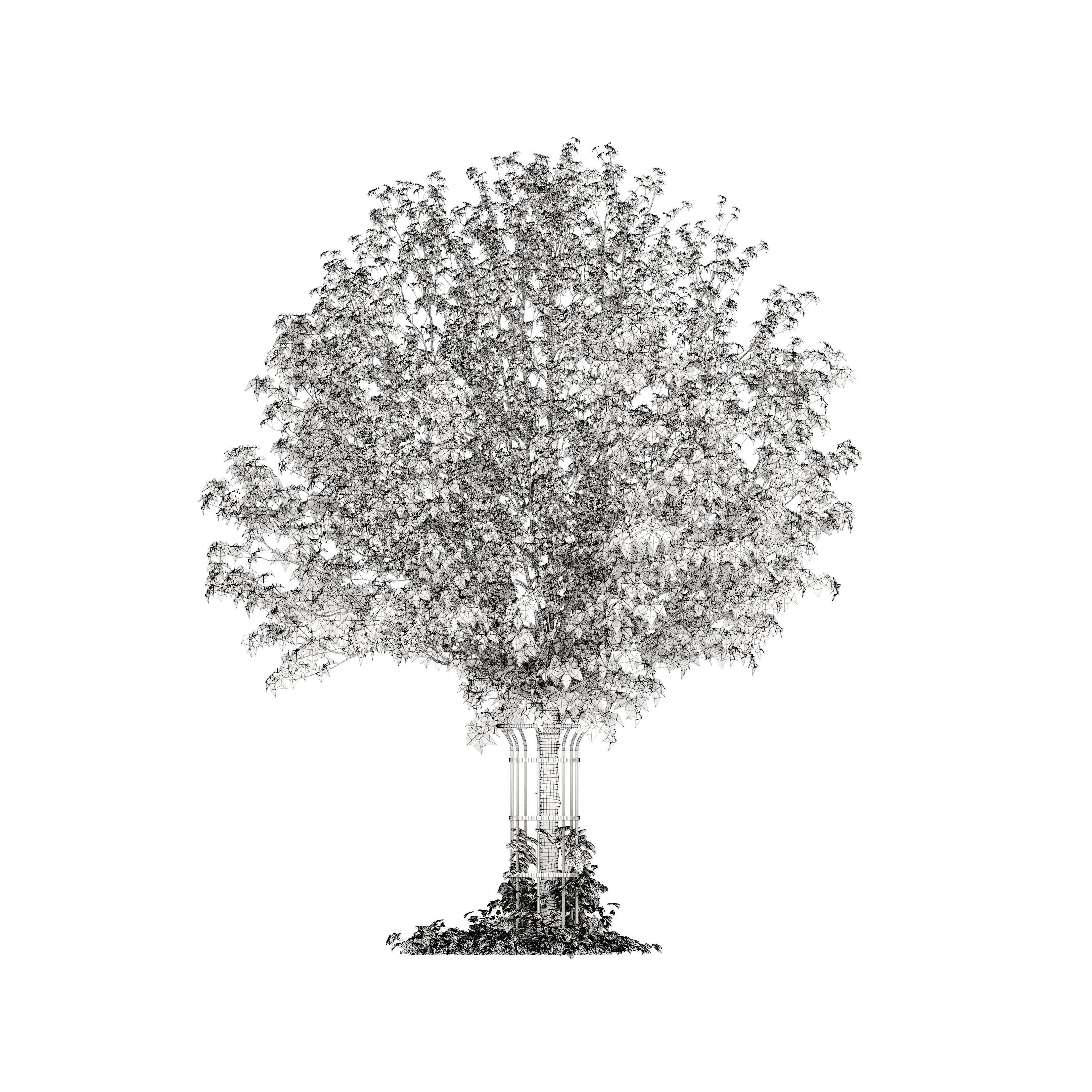 Autumn chestnut 3D model_4