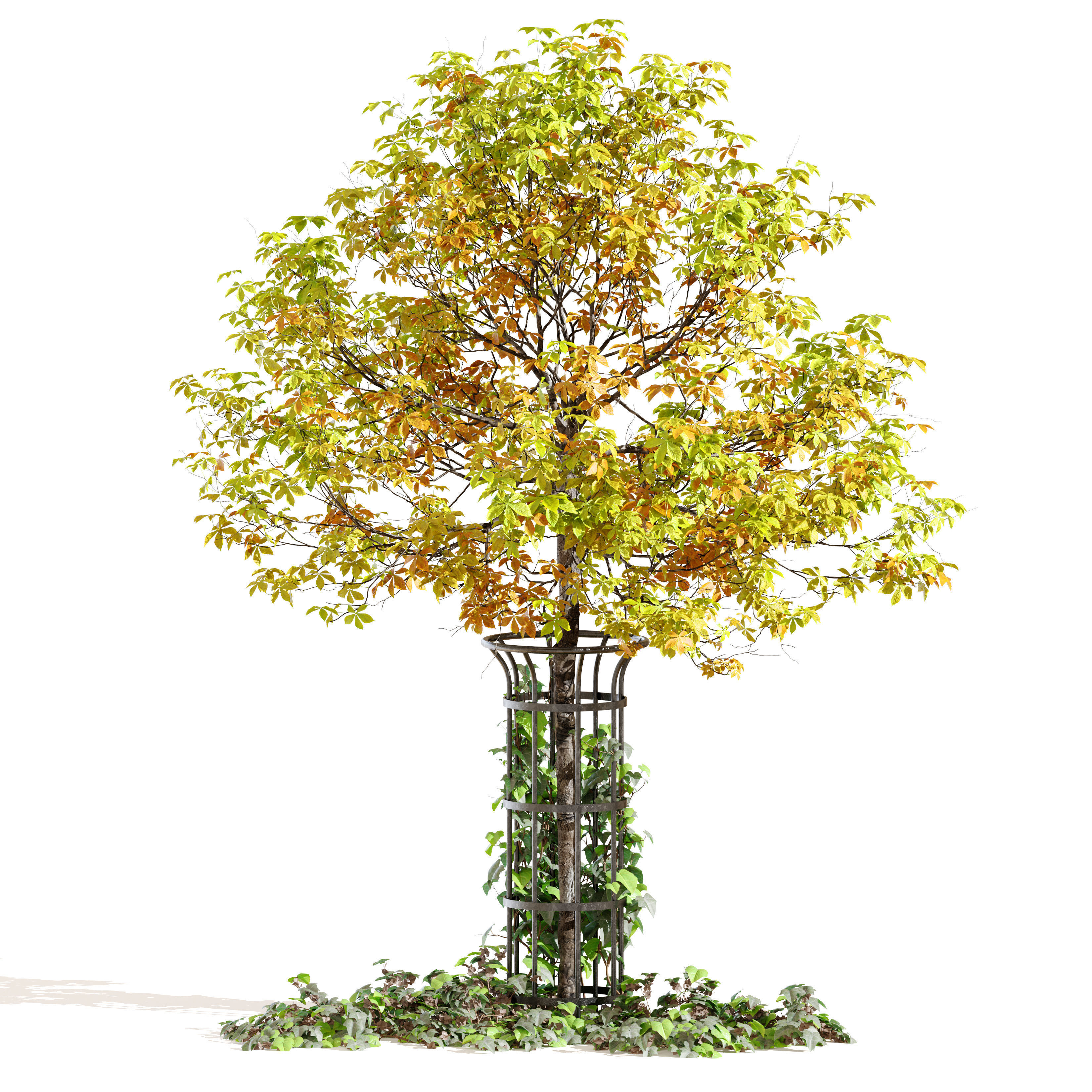 Autumn chestnut 3D model_1