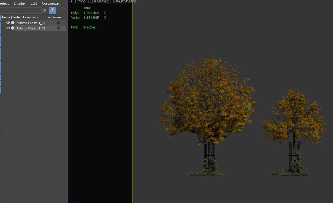 Autumn chestnut 3D model_5