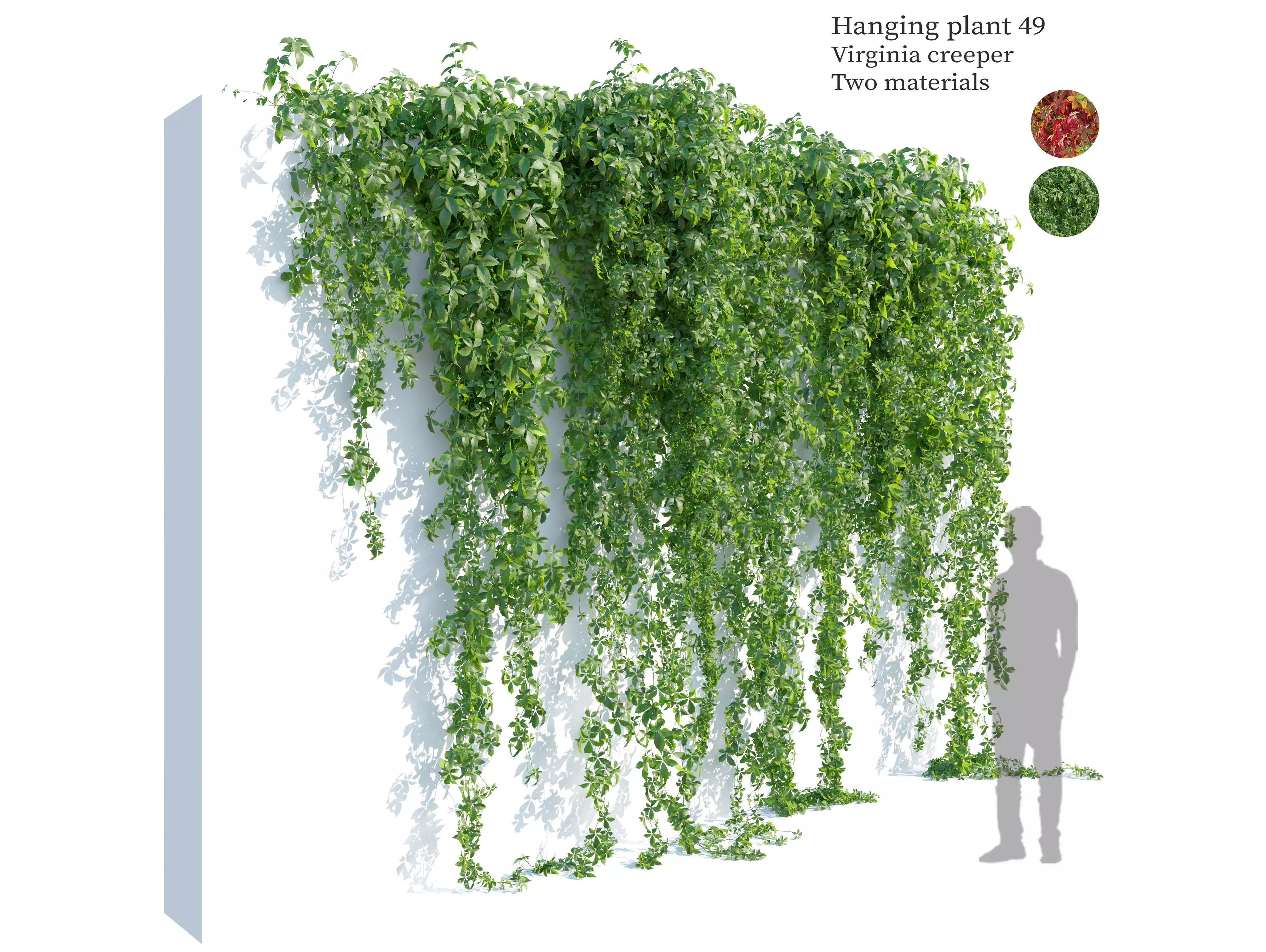 Hanging plant 49 3D model