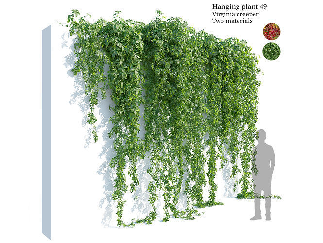 Hanging plant 49 3D model