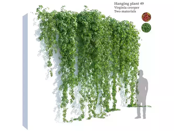 Hanging plant 49 3D model