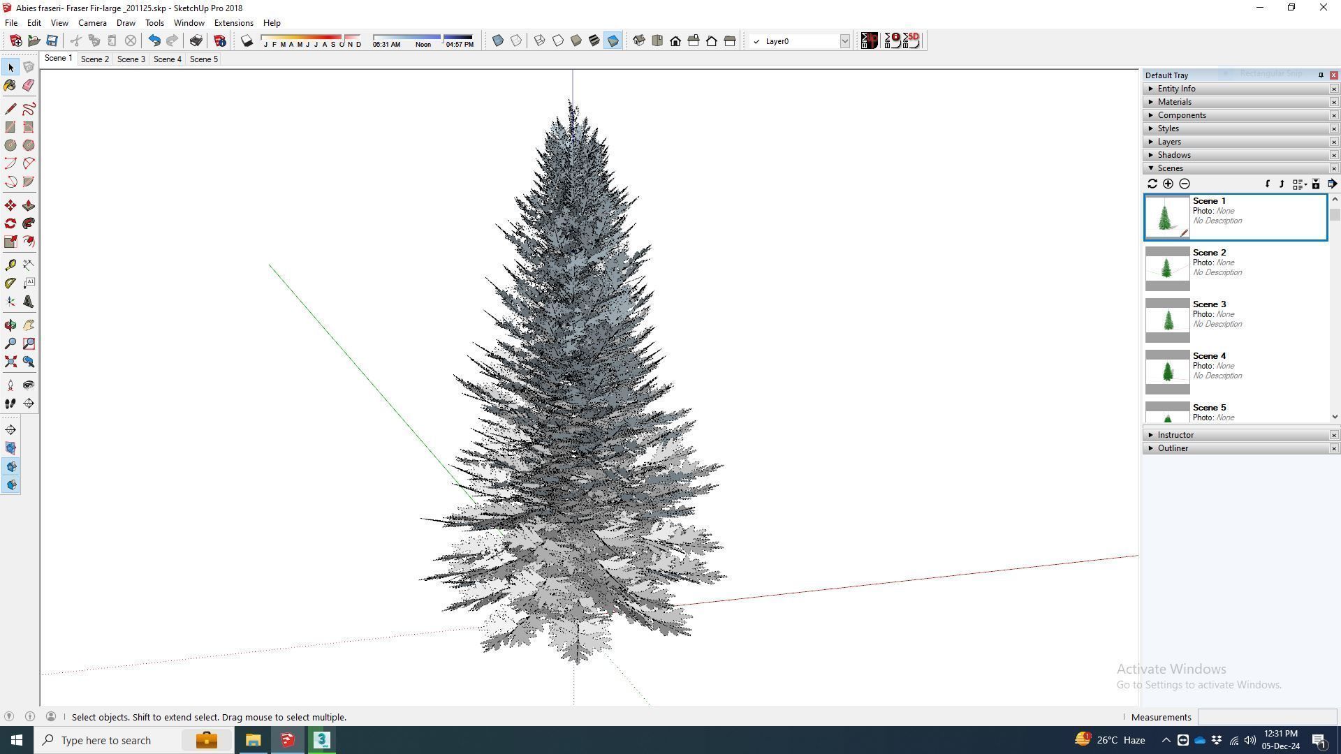 Plant   Abies fraseri- Fraser Fir -Large 3D model_8