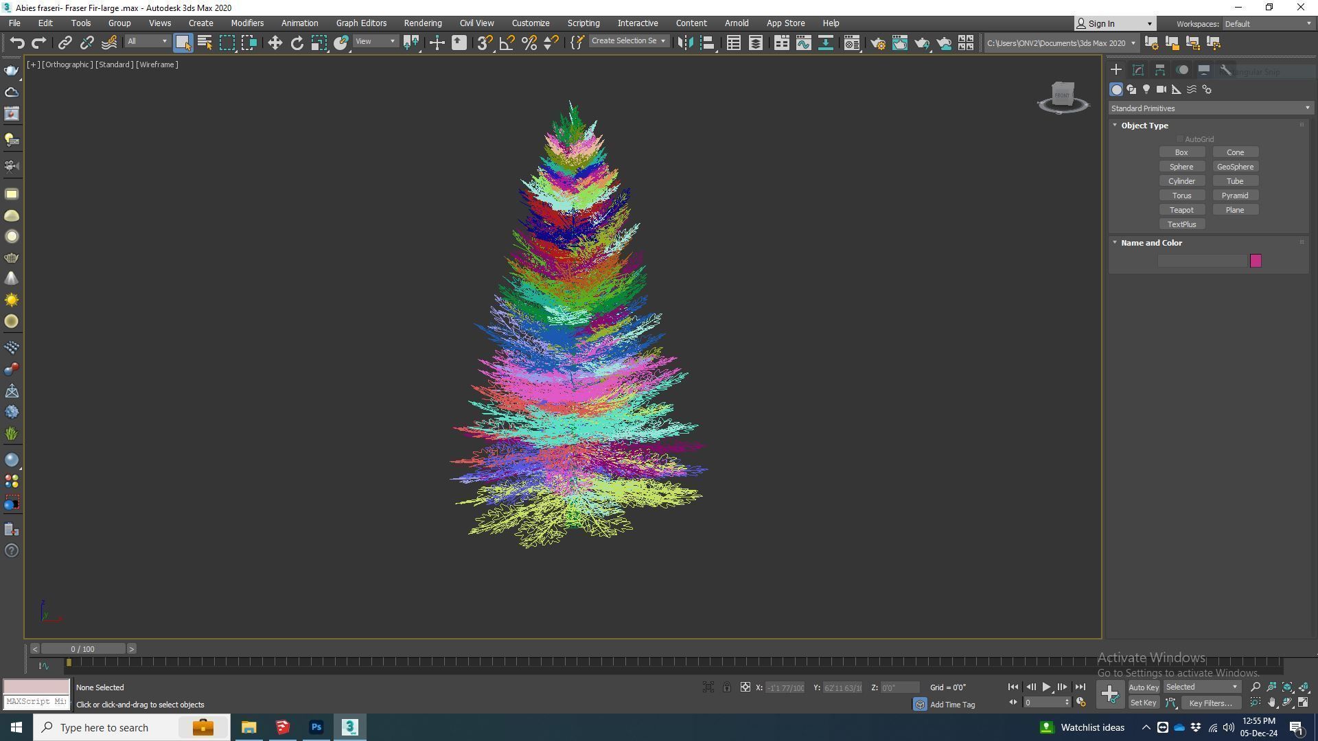 Plant   Abies fraseri- Fraser Fir -Large 3D model_7