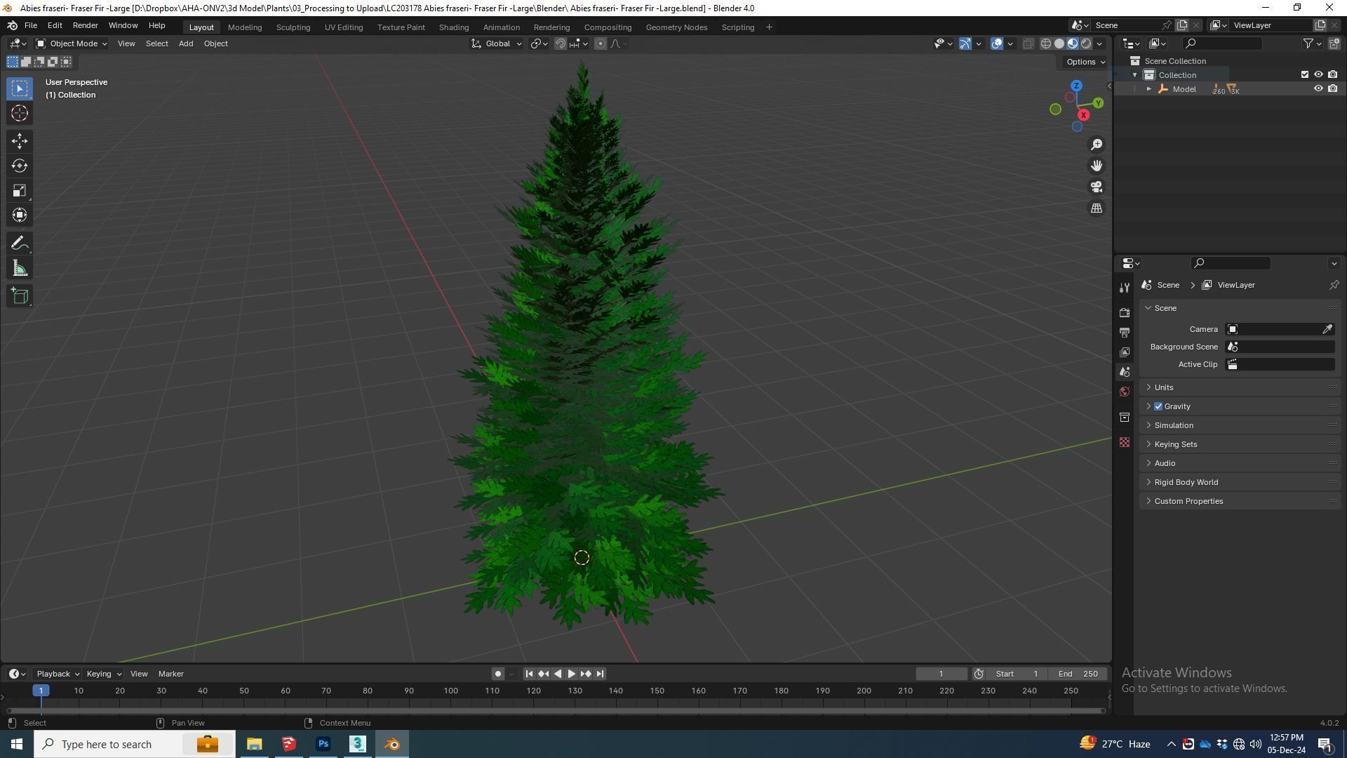 Plant   Abies fraseri- Fraser Fir -Large 3D model_5