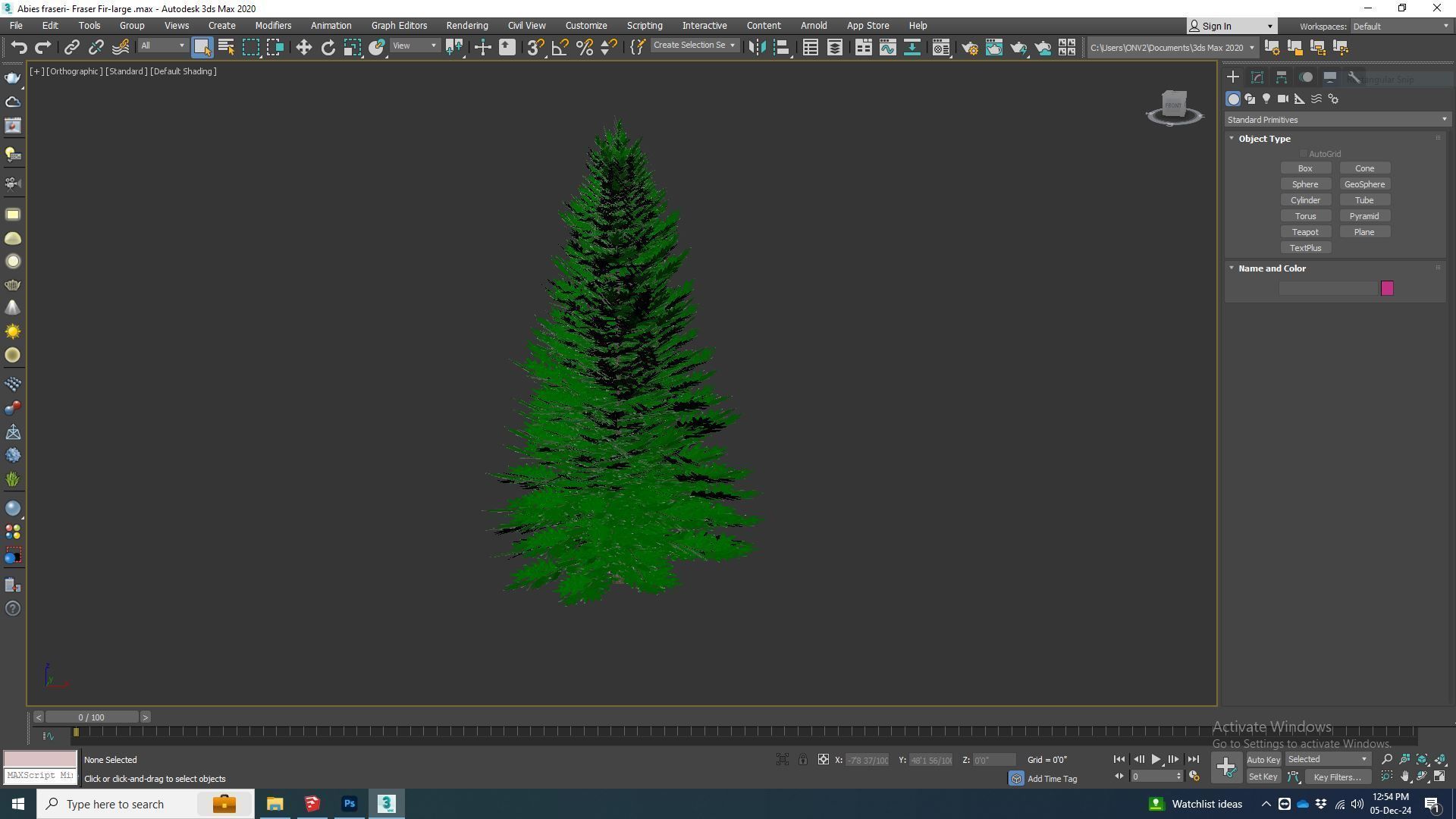 Plant   Abies fraseri- Fraser Fir -Large 3D model_6