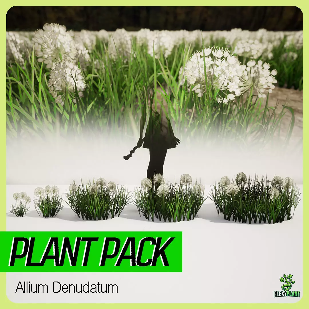 5 Allium Denudatum 3D Game Ready model Low-poly 3D model