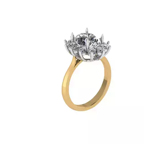 two tone Engagement ring