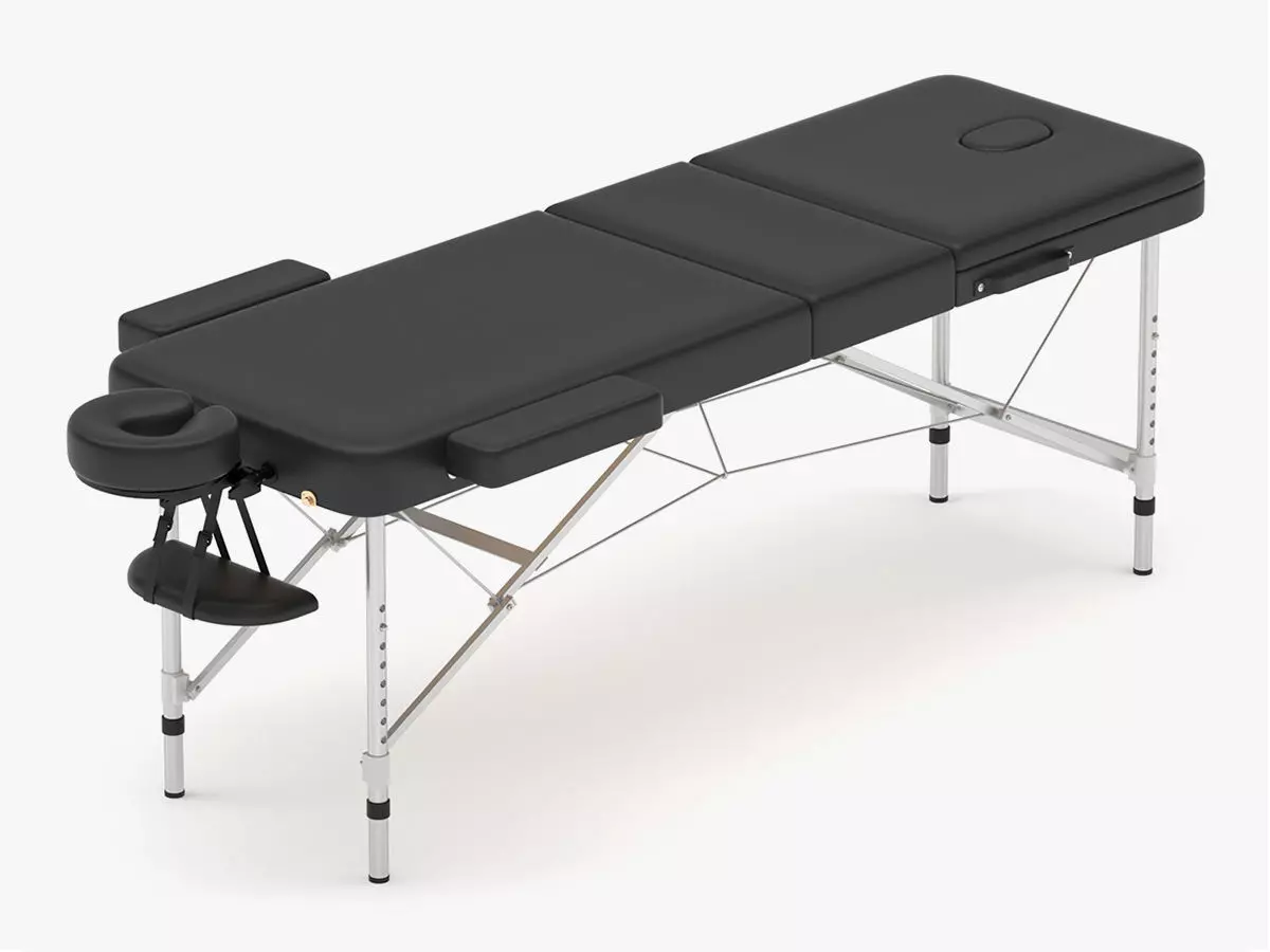 Medical Portable Massage 3D model