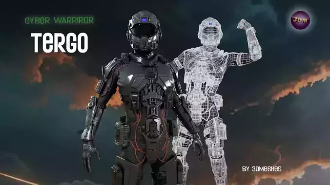 Cyber Warrior - TERGO