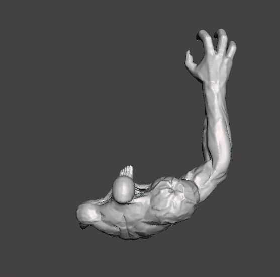 RE BANDERSNATCH MONSTER MINIATURE MODEL HORROR FANTASY GAMES RPG 3D print model_7