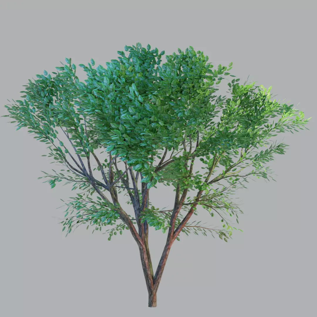 tree in forest Free 3D model_0