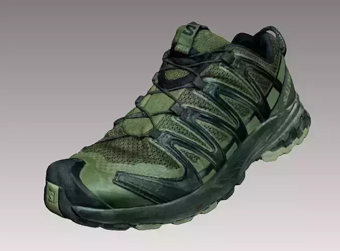 Salomon XA PRO 3D V8 shoe