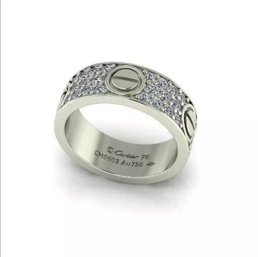 Bolt ring Model 6760 3D print model_0