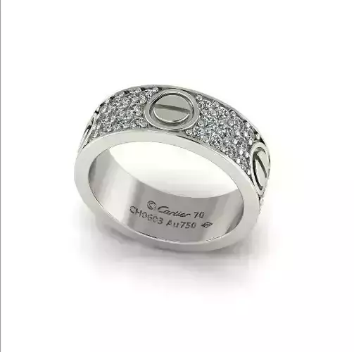 Bolt ring Model 6760