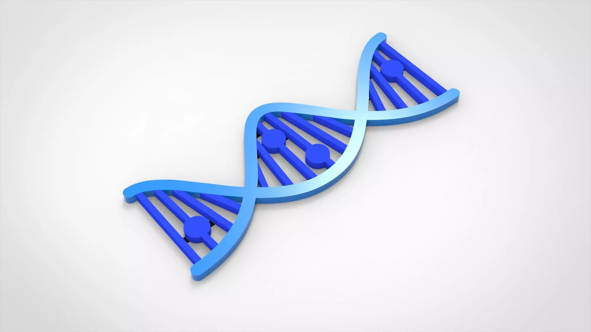 DNA form Free 3D model_0