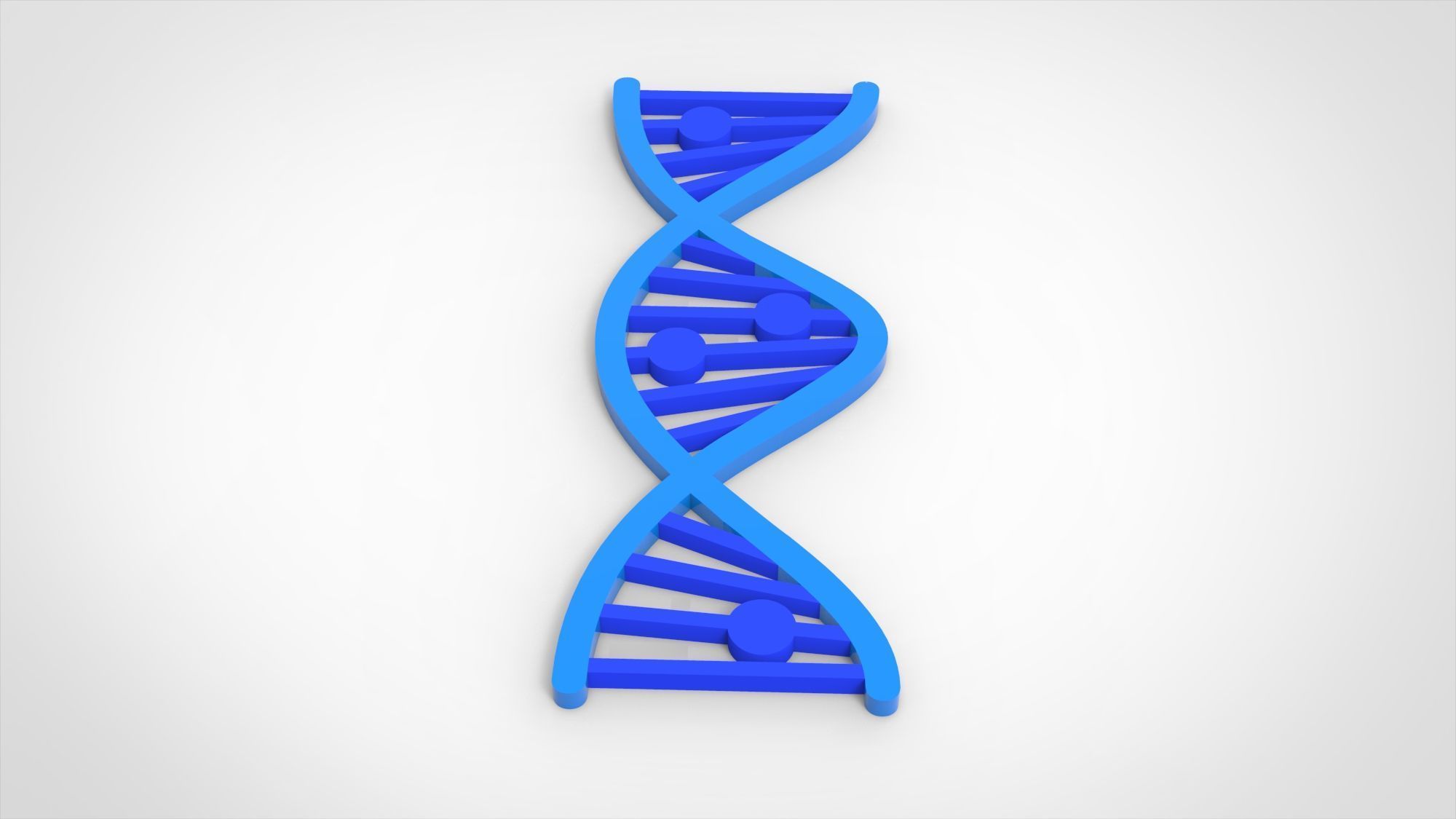 DNA form Free 3D model_7