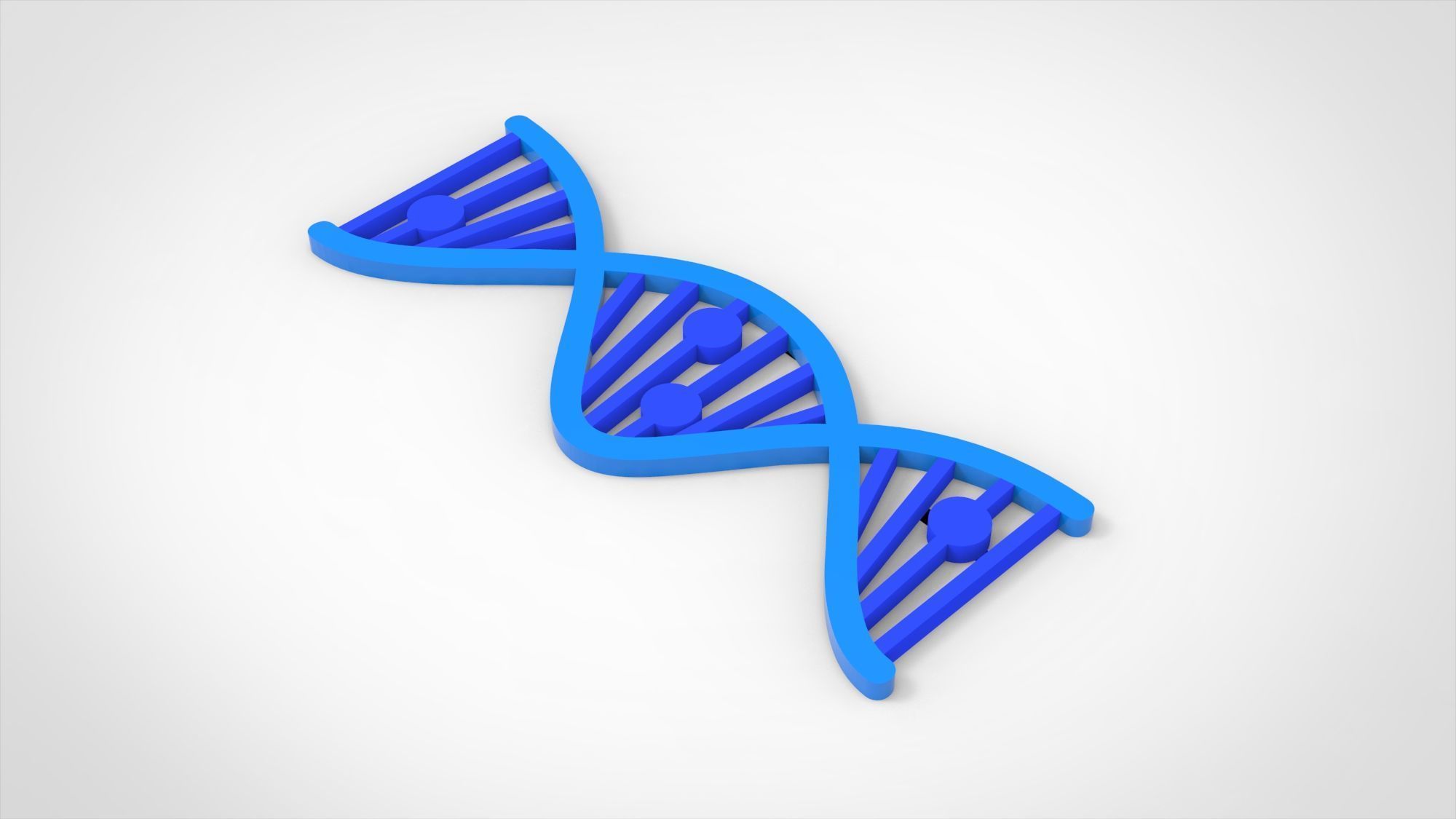 DNA form Free 3D model_2