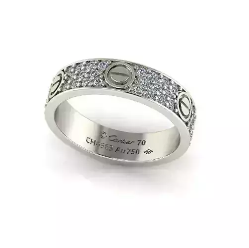 Bolt ring Model 6747