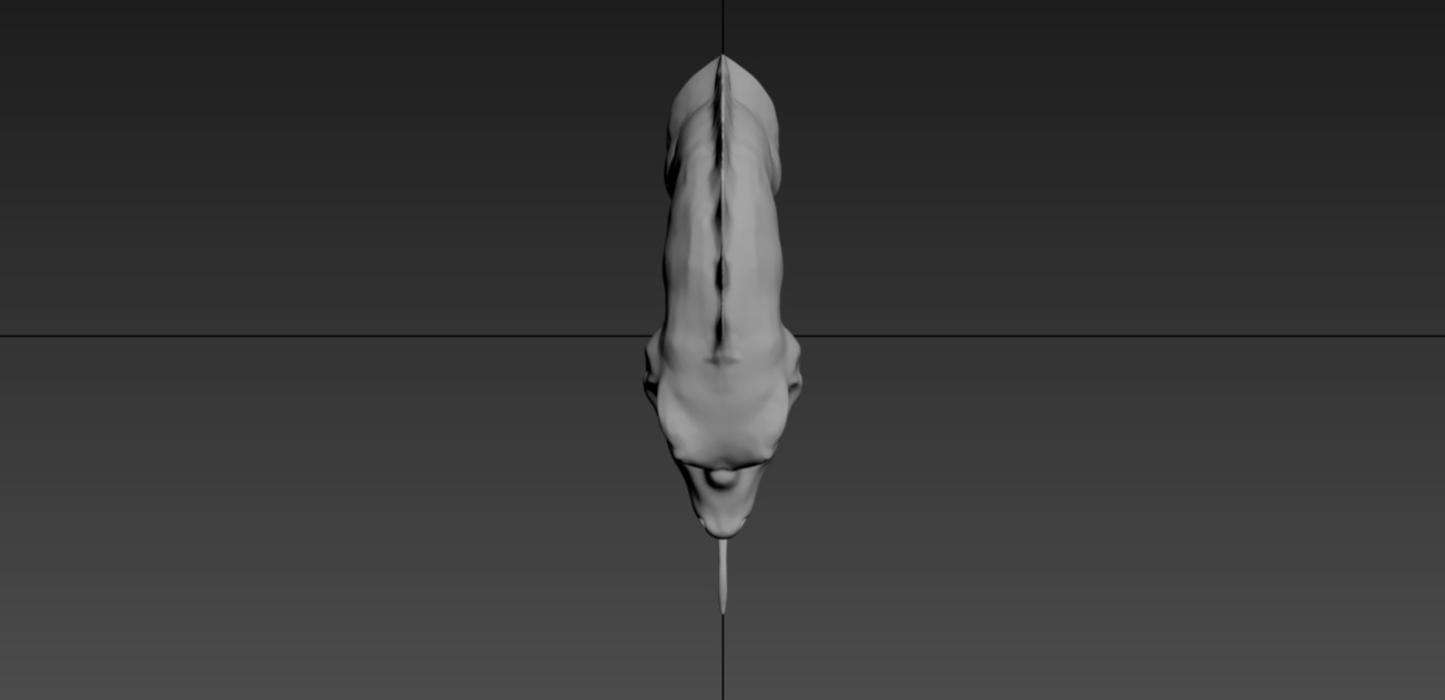 Dragon Head 3D print model_9