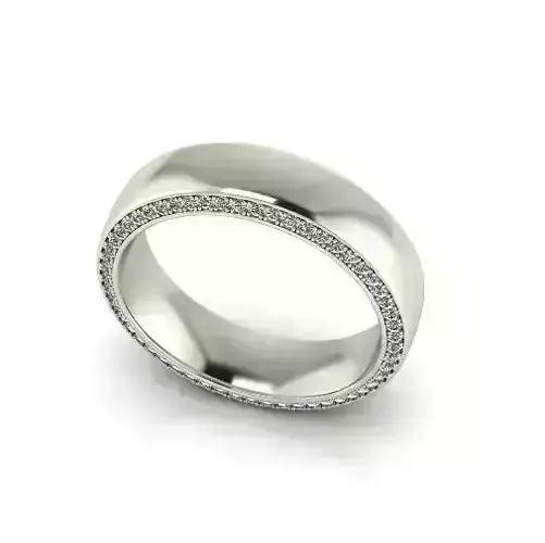Ring Model 6731