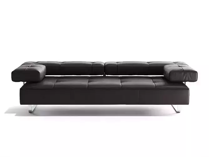 DS 880 23 Sofa