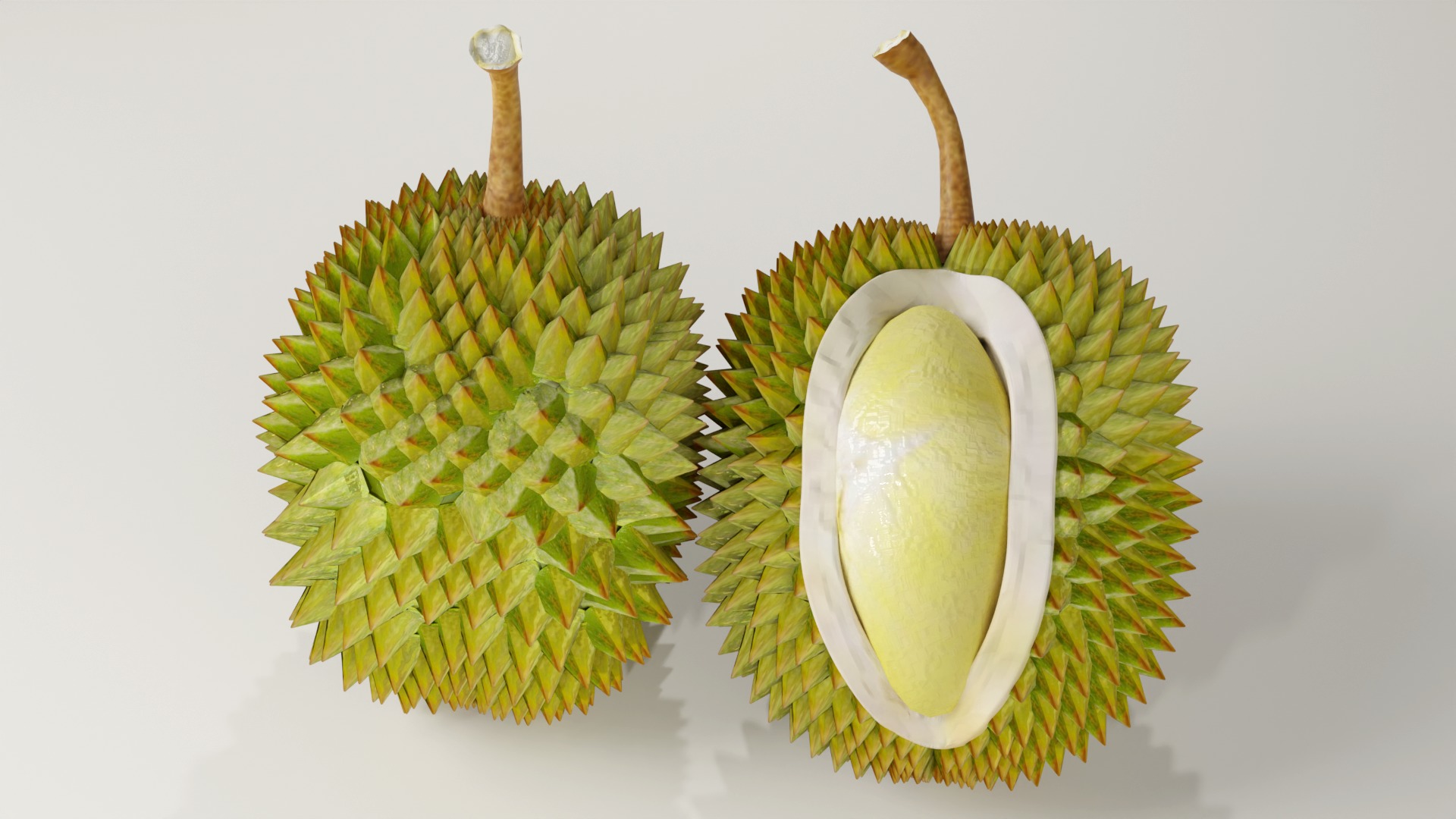 DURIAN FRUIT low-poly 3d model Low-poly 3D model_5