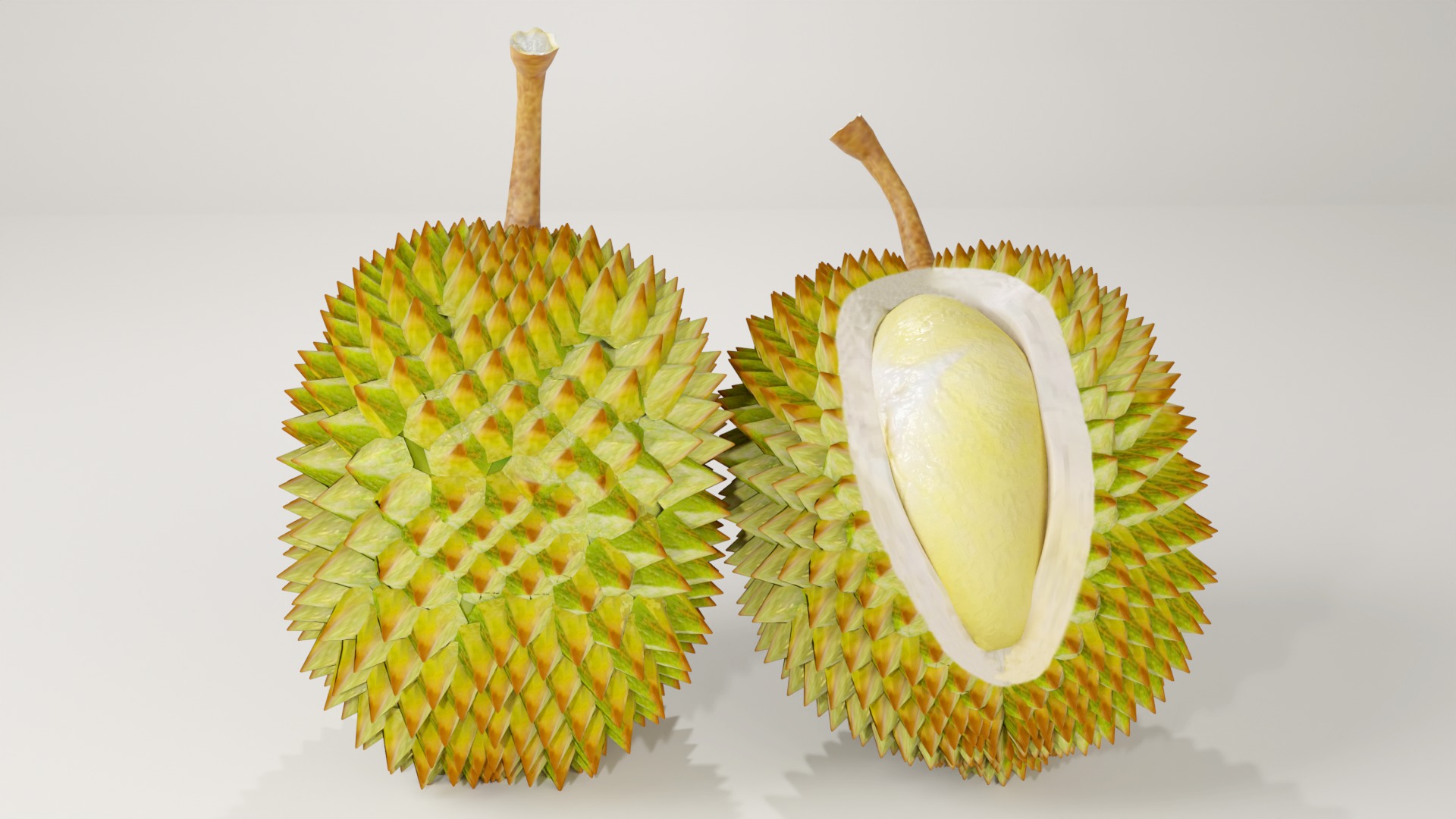 DURIAN FRUIT low-poly 3d model Low-poly 3D model_8