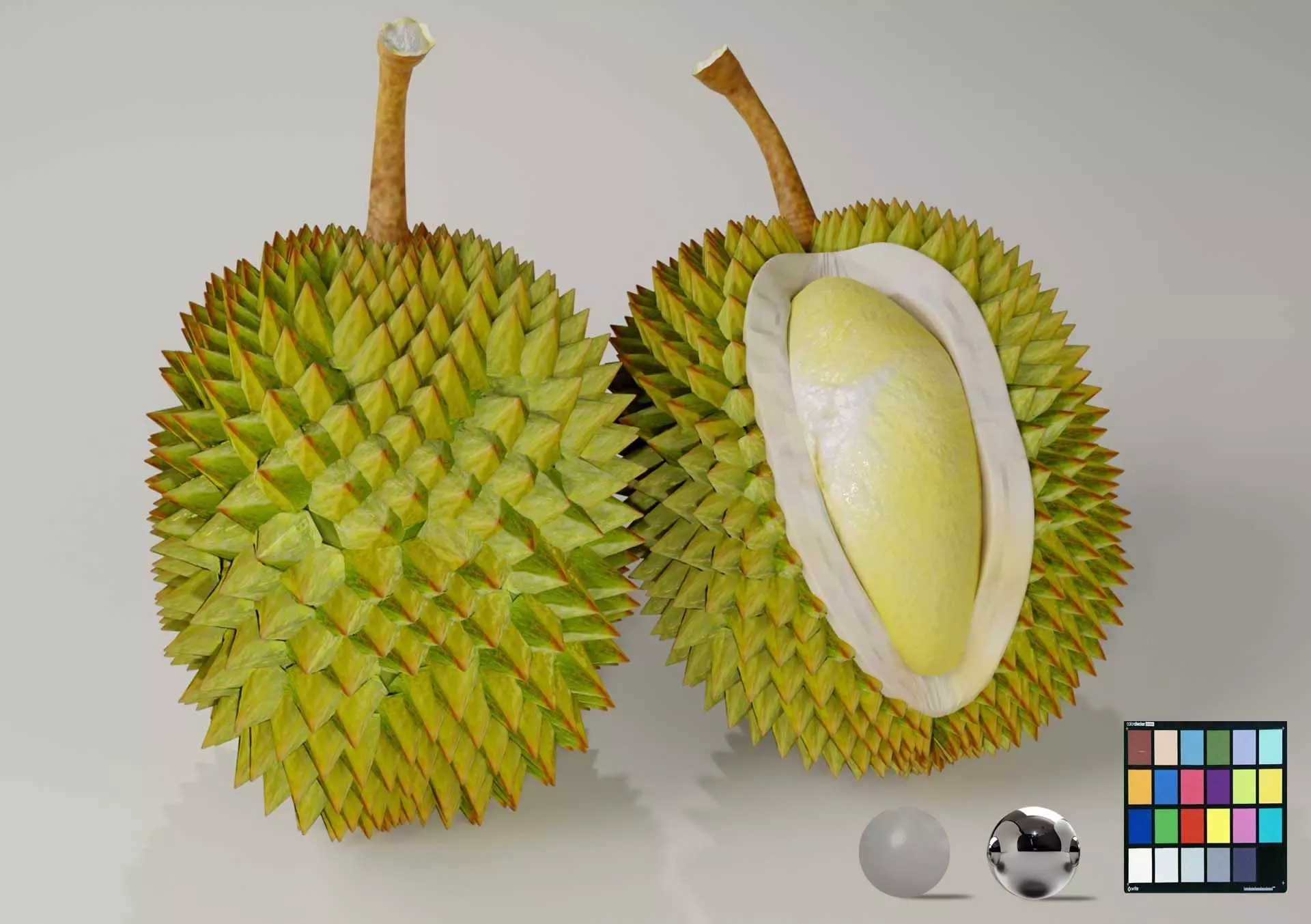 DURIAN FRUIT low-poly 3d model Low-poly 3D model_0
