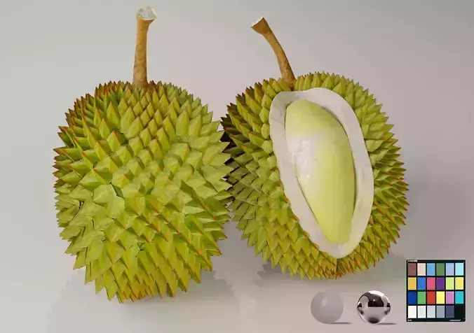 DURIAN FRUIT low-poly 3d model Low-poly 3D model DURIAN FRUIT low-poly 3d model Low-poly 3D model