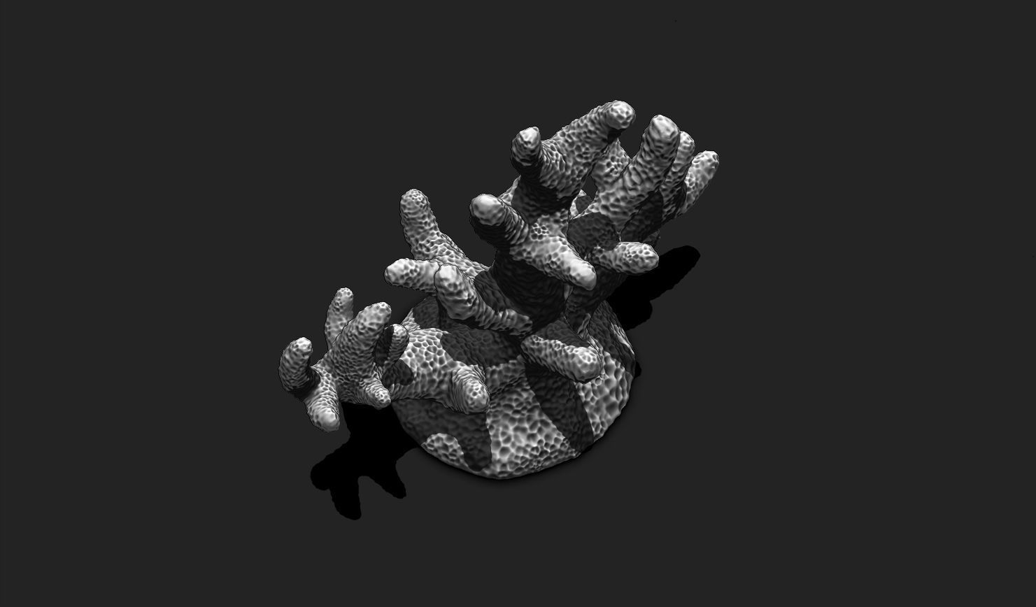 Coral 7 for 3D Printing - STL 3D Print - Aquarium - Home Decor 3D print model_10