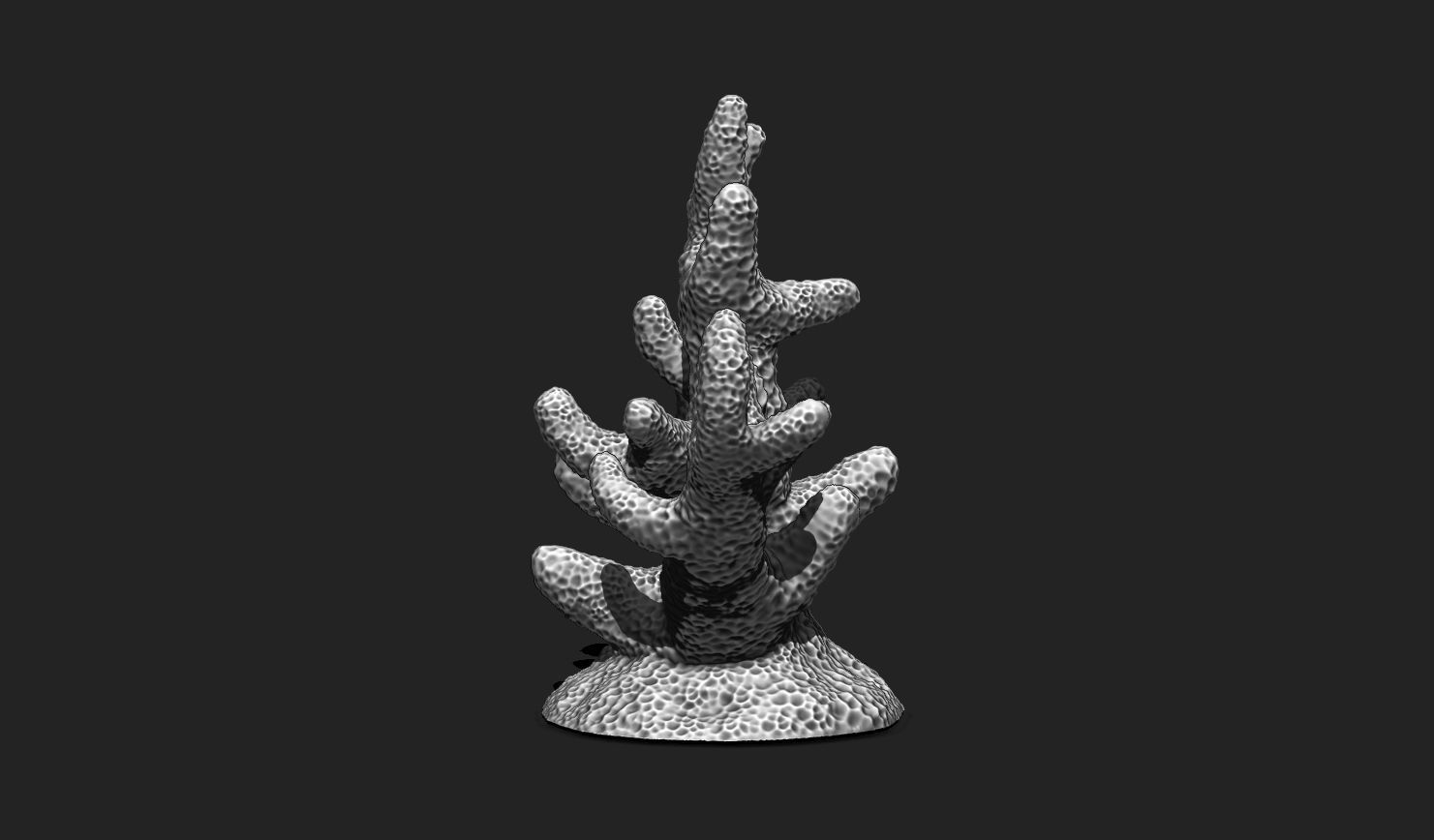 Coral 7 for 3D Printing - STL 3D Print - Aquarium - Home Decor 3D print model_3