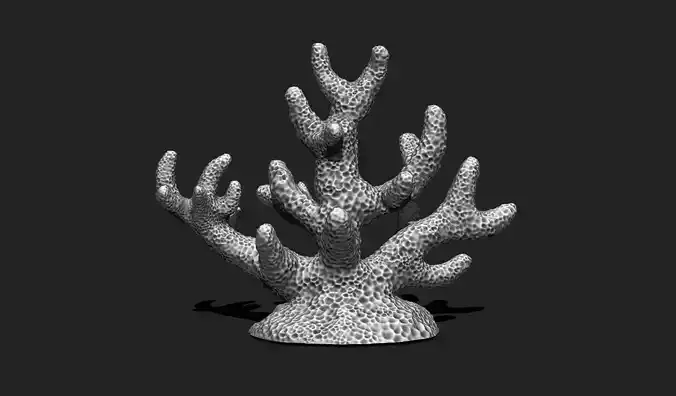 Coral 7 for 3D Printing - STL 3D Print - Aquarium - Home Decor 3D print model