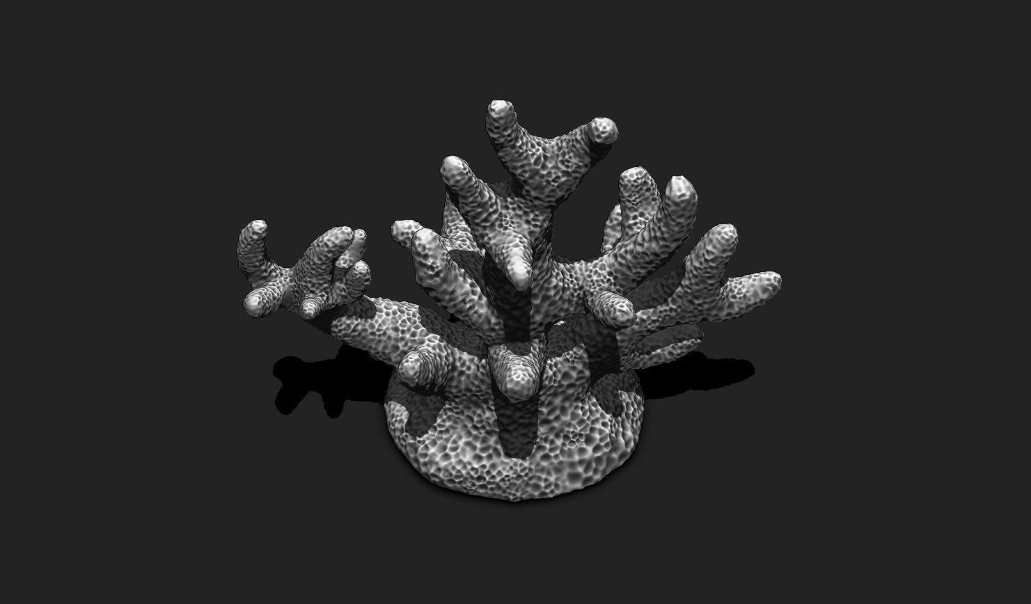 Coral 7 for 3D Printing - STL 3D Print - Aquarium - Home Decor 3D print model_9