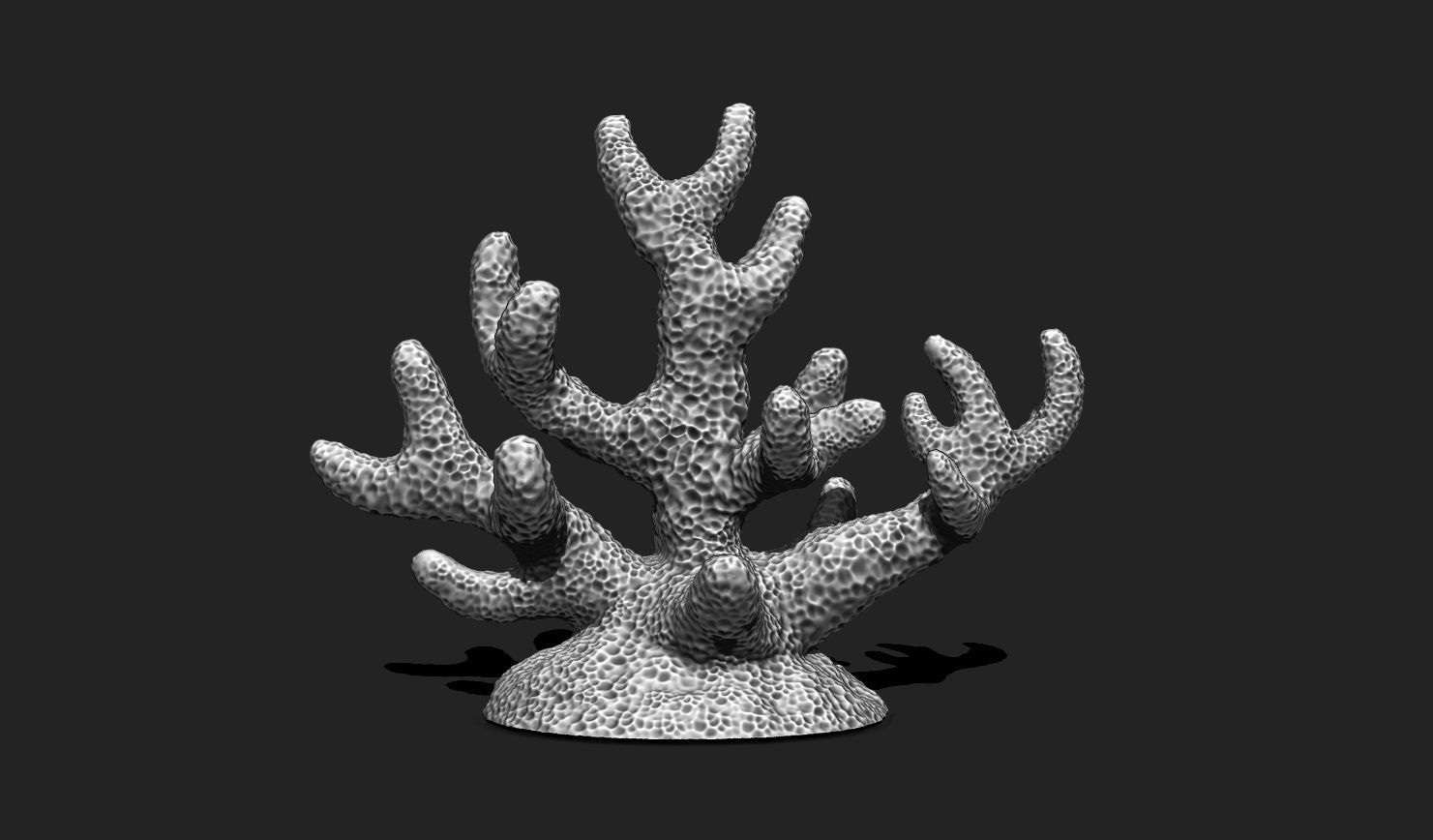 Coral 7 for 3D Printing - STL 3D Print - Aquarium - Home Decor 3D print model_5