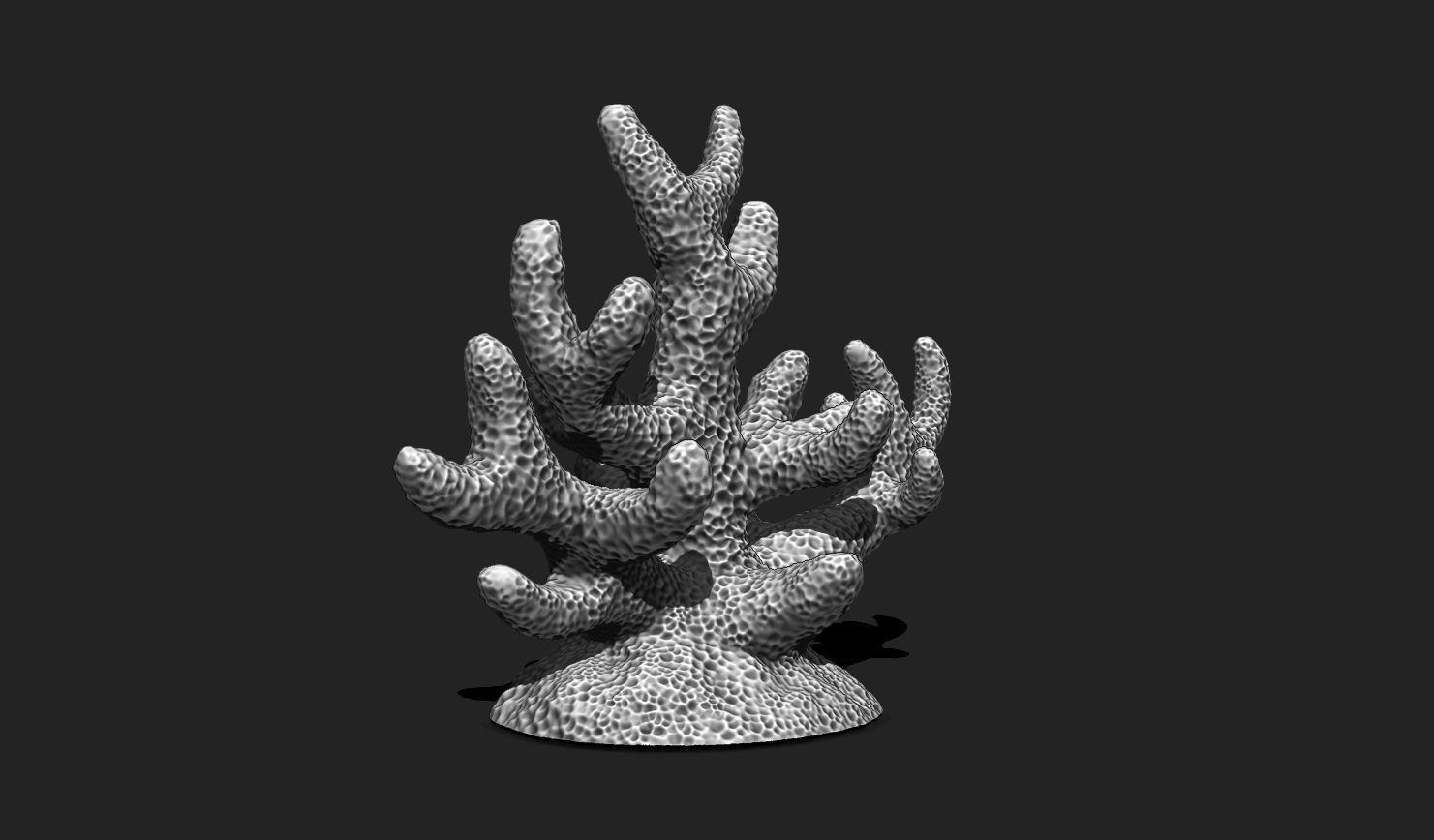 Coral 7 for 3D Printing - STL 3D Print - Aquarium - Home Decor 3D print model_6