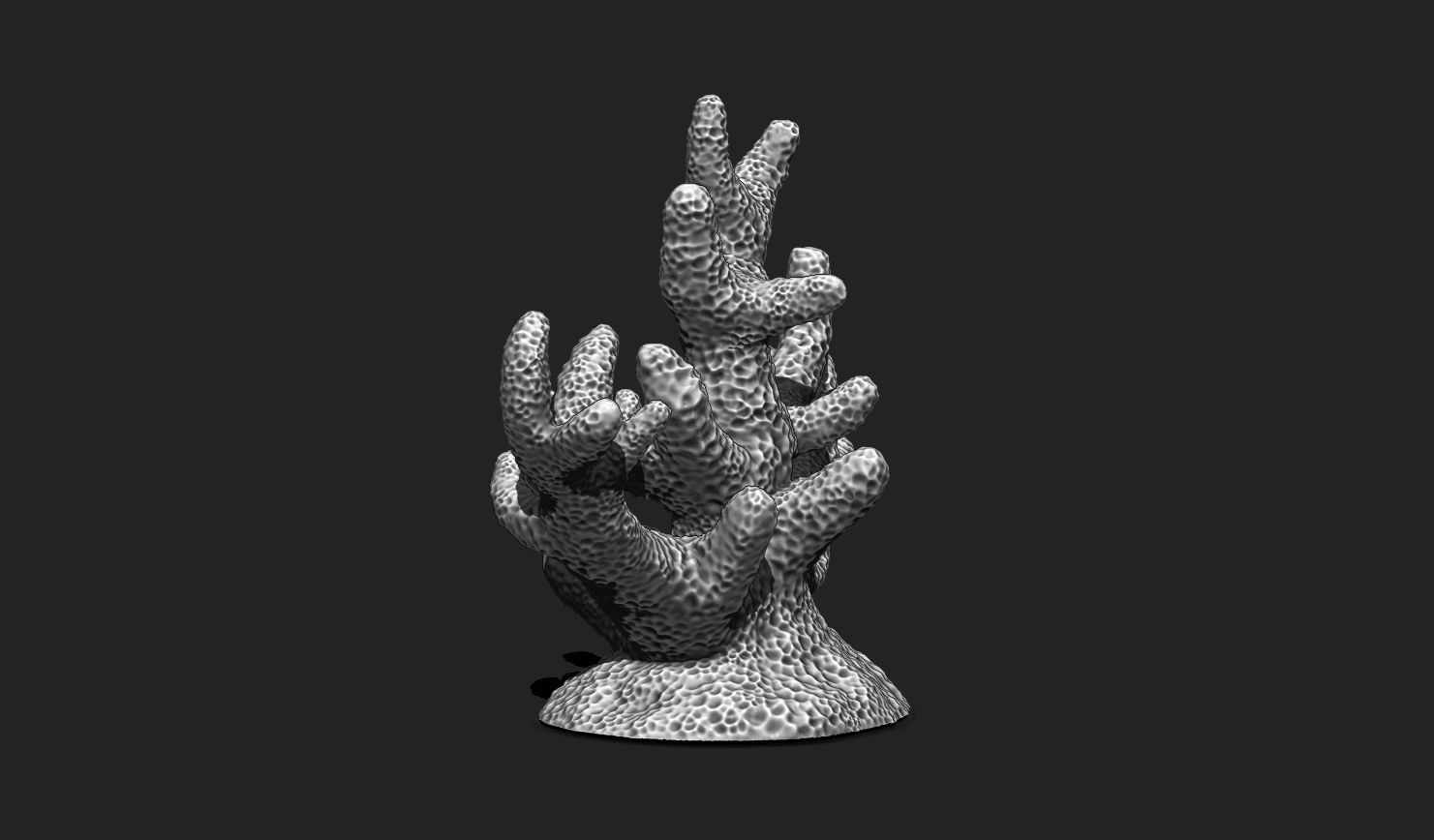 Coral 7 for 3D Printing - STL 3D Print - Aquarium - Home Decor 3D print model_2