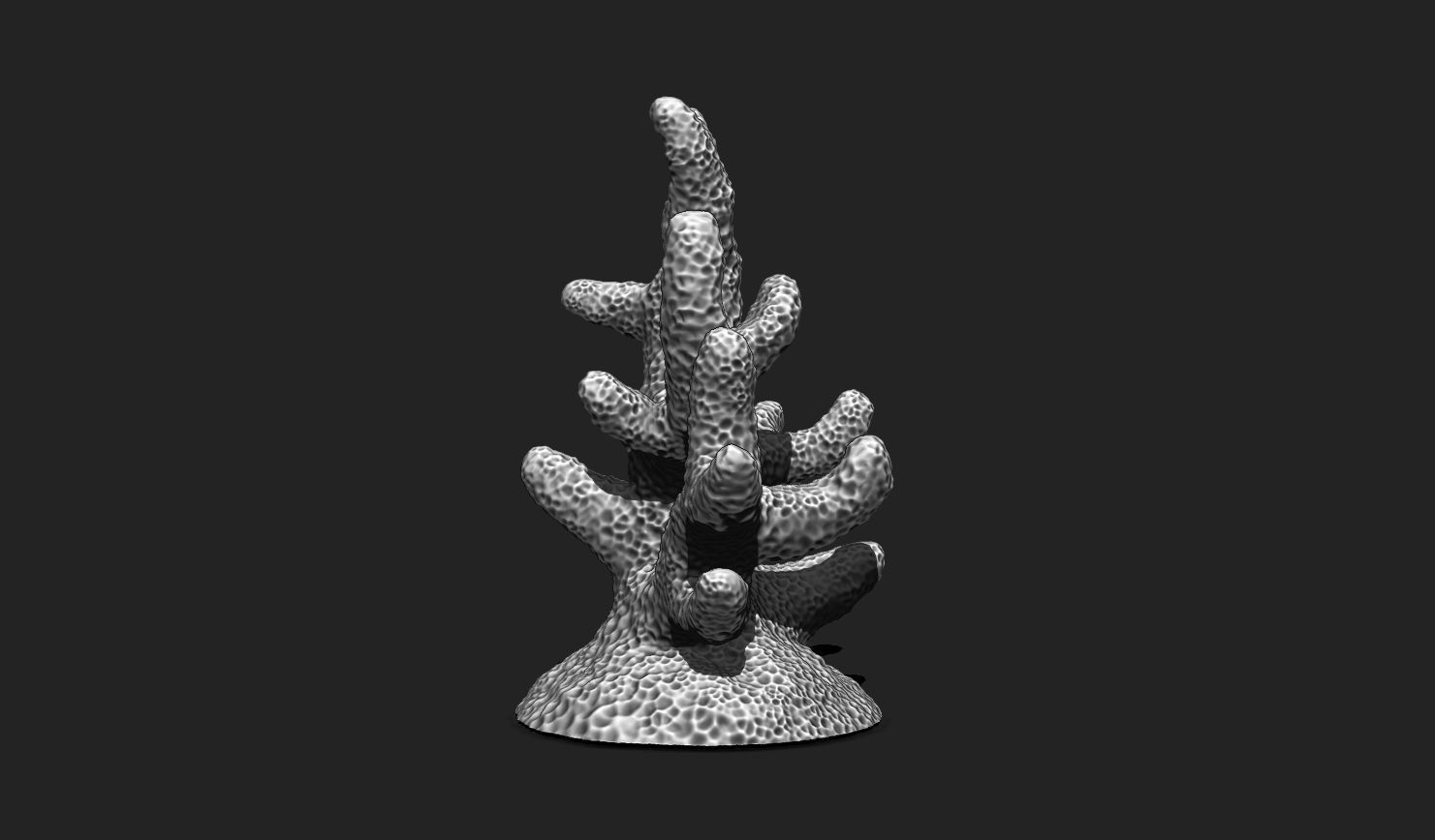 Coral 7 for 3D Printing - STL 3D Print - Aquarium - Home Decor 3D print model_7